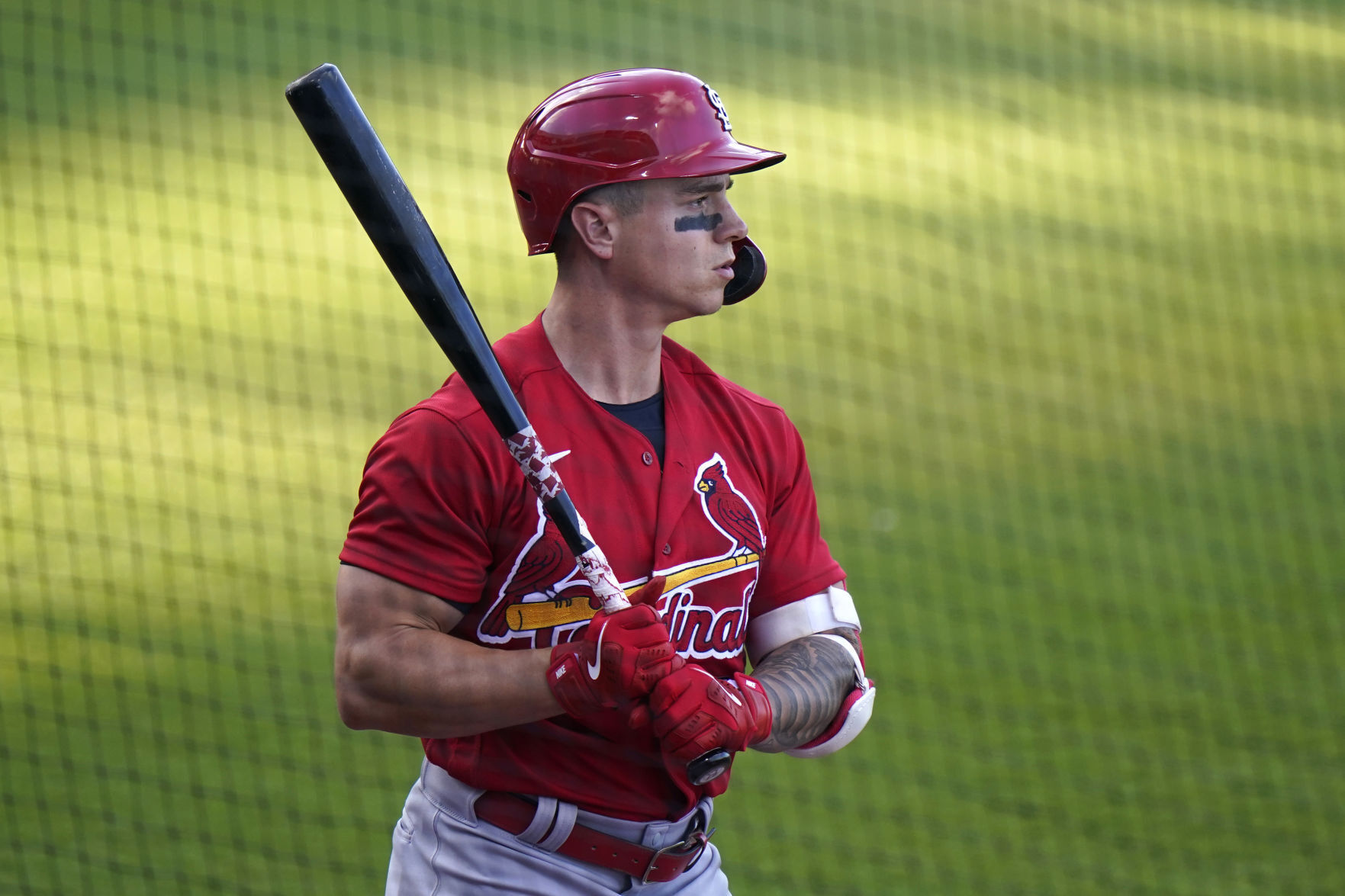 Cardinals Astros Spring Baseball